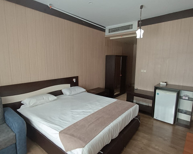 Tehran Dorsa Hotel Tehran 5