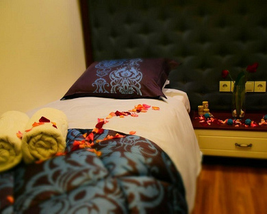 Venus Apartment Hotel Tehran 3