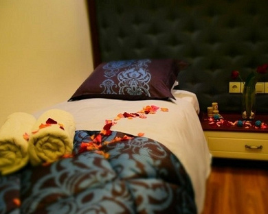 Venus Apartment Hotel Tehran 10