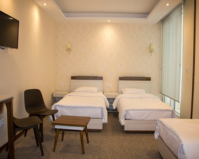 Vernos Hotel Tehran 16
