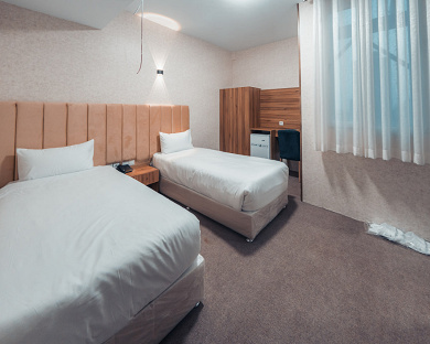 Viana Hotel Tehran 30