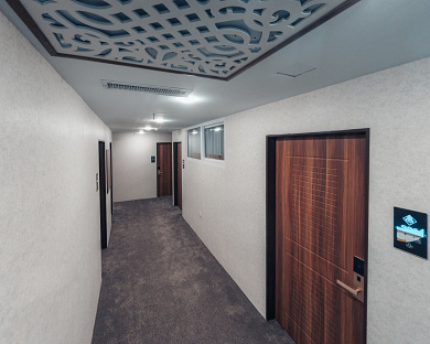 Viana Hotel Tehran 17