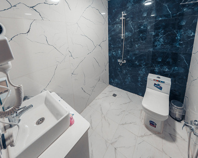 Viana Hotel Tehran 33