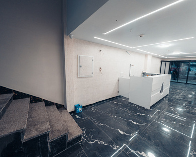 Viana Hotel Tehran 29