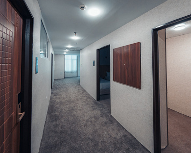Viana Hotel Tehran 15