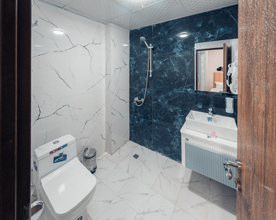 Viana Hotel Tehran 28