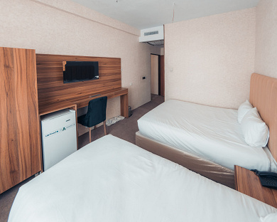 Viana Hotel Tehran 31