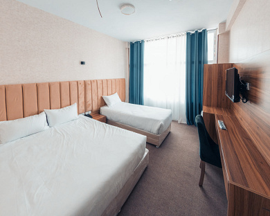 Viana Hotel Tehran 25