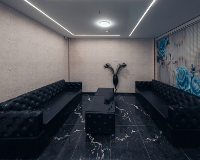 Viana Hotel Tehran 21