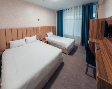 Viana Hotel Tehran 38