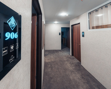 Viana Hotel Tehran 18