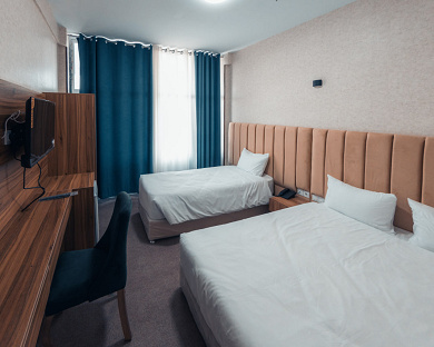 Viana Hotel Tehran 23