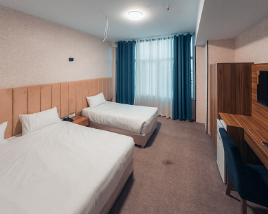 Viana Hotel Tehran 19