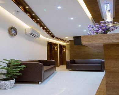Viana Hotel Tehran 2