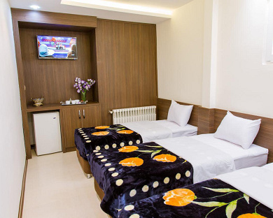 Viana Hotel Tehran 3