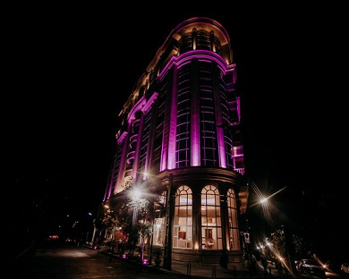 Wisteria Hotel Tehran 12
