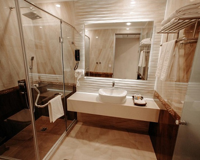 Wisteria Hotel Tehran 28