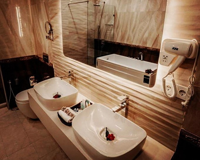 Wisteria Hotel Tehran 29