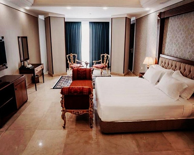 Wisteria Hotel Tehran 23