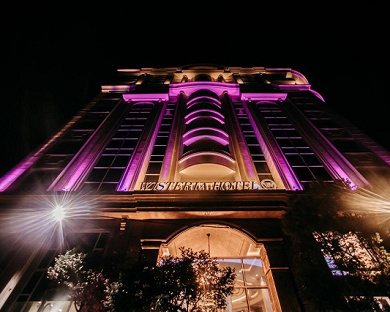 Wisteria Hotel Tehran 13