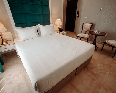 Wisteria Hotel Tehran 27