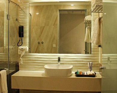 Wisteria Hotel Tehran 11
