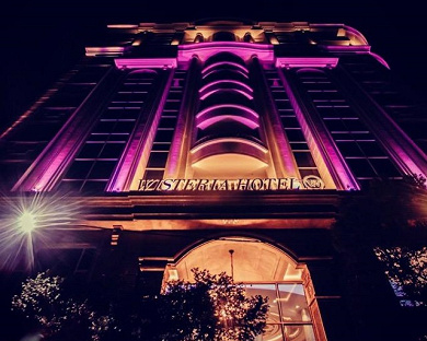 Wisteria Hotel Tehran 14