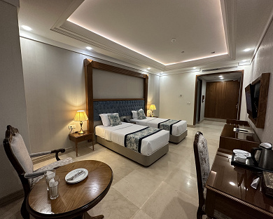 Wisteria Hotel Tehran 39
