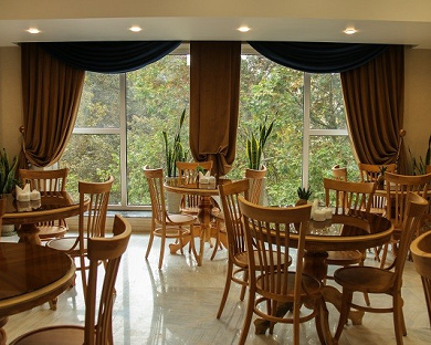 Wisteria Hotel Tehran 5