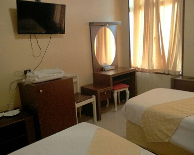 Ziba Hotel Tehran 21
