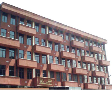 Ziba Hotel Tehran 2