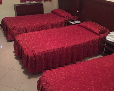 Ziba Hotel Tehran 18