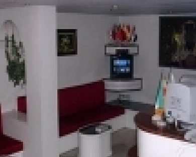 Ziba Hotel Tehran 7