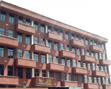 Ziba Hotel Tehran 9