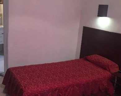 Ziba Hotel Tehran 10